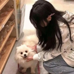 365平台下载下载手机版